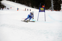 OSSV TELE TOP-Cup 2019 - 8125