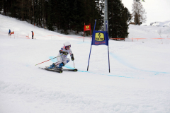 OSSV TELE TOP-Cup 2019 - 8132