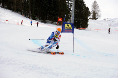 OSSV TELE TOP-Cup 2019 - 8146