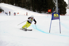 OSSV TELE TOP-Cup 2019 - 8147