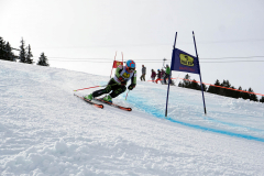 OSSV TELE TOP-Cup 2019 - 8165