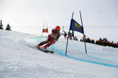 OSSV TELE TOP-Cup 2019 - 8170