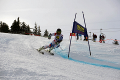 OSSV TELE TOP-Cup 2019 - 8182