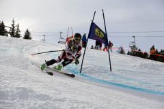 OSSV TELE TOP-Cup 2019 - 8194
