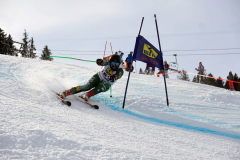 OSSV TELE TOP-Cup 2019 - 8199