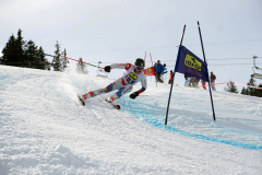OSSV TELE TOP-Cup 2019 - 8203