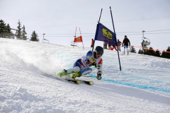 OSSV TELE TOP-Cup 2019 - 8211