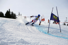 OSSV TELE TOP-Cup 2019 - 8212