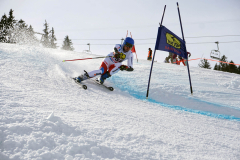 OSSV TELE TOP-Cup 2019 - 8214