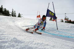 OSSV TELE TOP-Cup 2019 - 8215