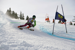 OSSV TELE TOP-Cup 2019 - 8217