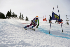 OSSV TELE TOP-Cup 2019 - 8219
