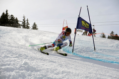 OSSV TELE TOP-Cup 2019 - 8225