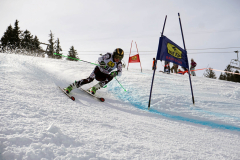 OSSV TELE TOP-Cup 2019 - 8227