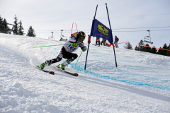 OSSV TELE TOP-Cup 2019 - 8228