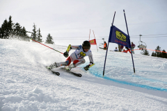 OSSV TELE TOP-Cup 2019 - 8229