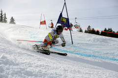 OSSV TELE TOP-Cup 2019 - 8230