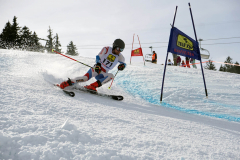 OSSV TELE TOP-Cup 2019 - 8231