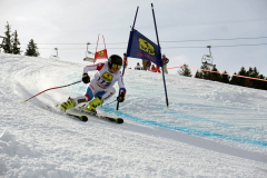 OSSV TELE TOP-Cup 2019 - 8234
