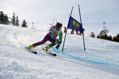 OSSV TELE TOP-Cup 2019 - 8237