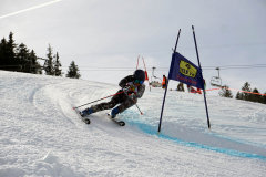 OSSV TELE TOP-Cup 2019 - 8239