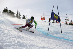 OSSV TELE TOP-Cup 2019 - 8244