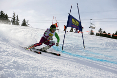 OSSV TELE TOP-Cup 2019 - 8245
