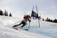 OSSV TELE TOP-Cup 2019 - 8247