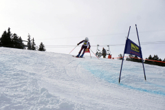 OSSV TELE TOP-Cup 2019 - 8252