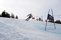 OSSV TELE TOP-Cup 2019 - 8253