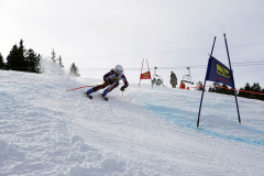 OSSV TELE TOP-Cup 2019 - 8255