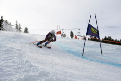 OSSV TELE TOP-Cup 2019 - 8256