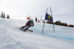 OSSV TELE TOP-Cup 2019 - 8257