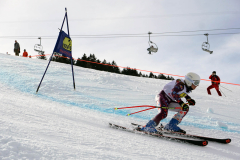 OSSV TELE TOP-Cup 2019 - 8260
