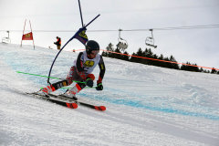 OSSV TELE TOP-Cup 2019 - 8266