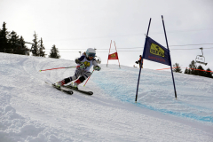 OSSV TELE TOP-Cup 2019 - 8272