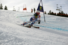 OSSV TELE TOP-Cup 2019 - 8280