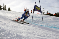 OSSV TELE TOP-Cup 2019 - 8283
