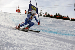 OSSV TELE TOP-Cup 2019 - 8284