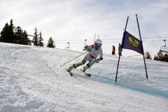 OSSV TELE TOP-Cup 2019 - 8285