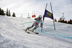 OSSV TELE TOP-Cup 2019 - 8286