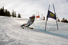 OSSV TELE TOP-Cup 2019 - 8287
