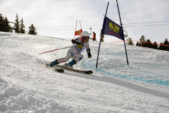 OSSV TELE TOP-Cup 2019 - 8288