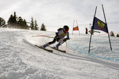 OSSV TELE TOP-Cup 2019 - 8289