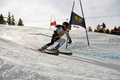 OSSV TELE TOP-Cup 2019 - 8290
