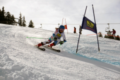 OSSV TELE TOP-Cup 2019 - 8291