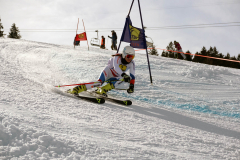 OSSV TELE TOP-Cup 2019 - 8295