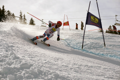 OSSV TELE TOP-Cup 2019 - 8297