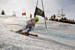 OSSV TELE TOP-Cup 2019 - 8302