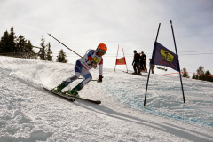 OSSV TELE TOP-Cup 2019 - 8305